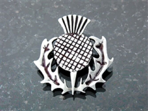 Scottish Thistle pin/pendant